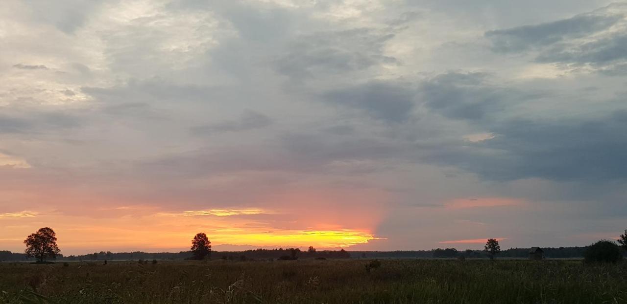Zdalnie Z Lasu - Siedlisko W Puszczy Bialowieskiej Narewka Exterior foto